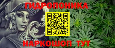 гидра Краснокаменск