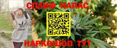 гидра Краснокаменск