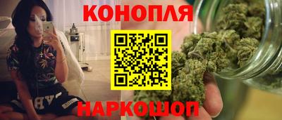 гидра Краснокаменск
