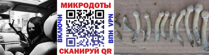 Псилоцибиновые грибы мухоморы  цена наркотик  Юрга 