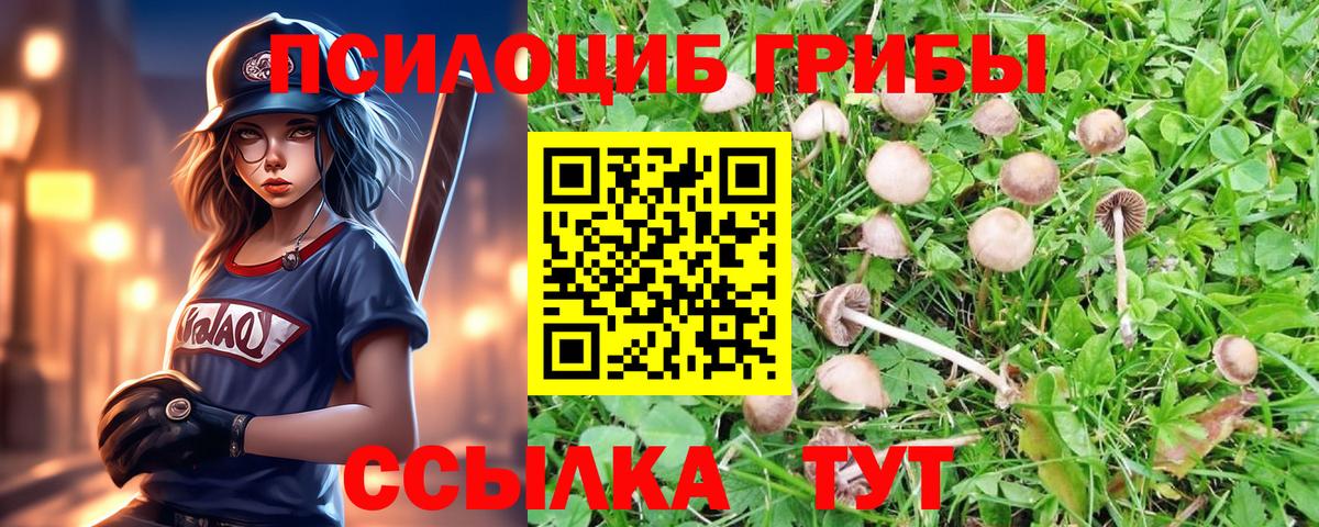 Псилоцибиновые грибы Psilocybine cubensis  Вход с VPN  Юрга 
