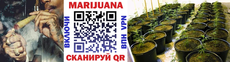 Каннабис OG Kush купить сайты Юрга